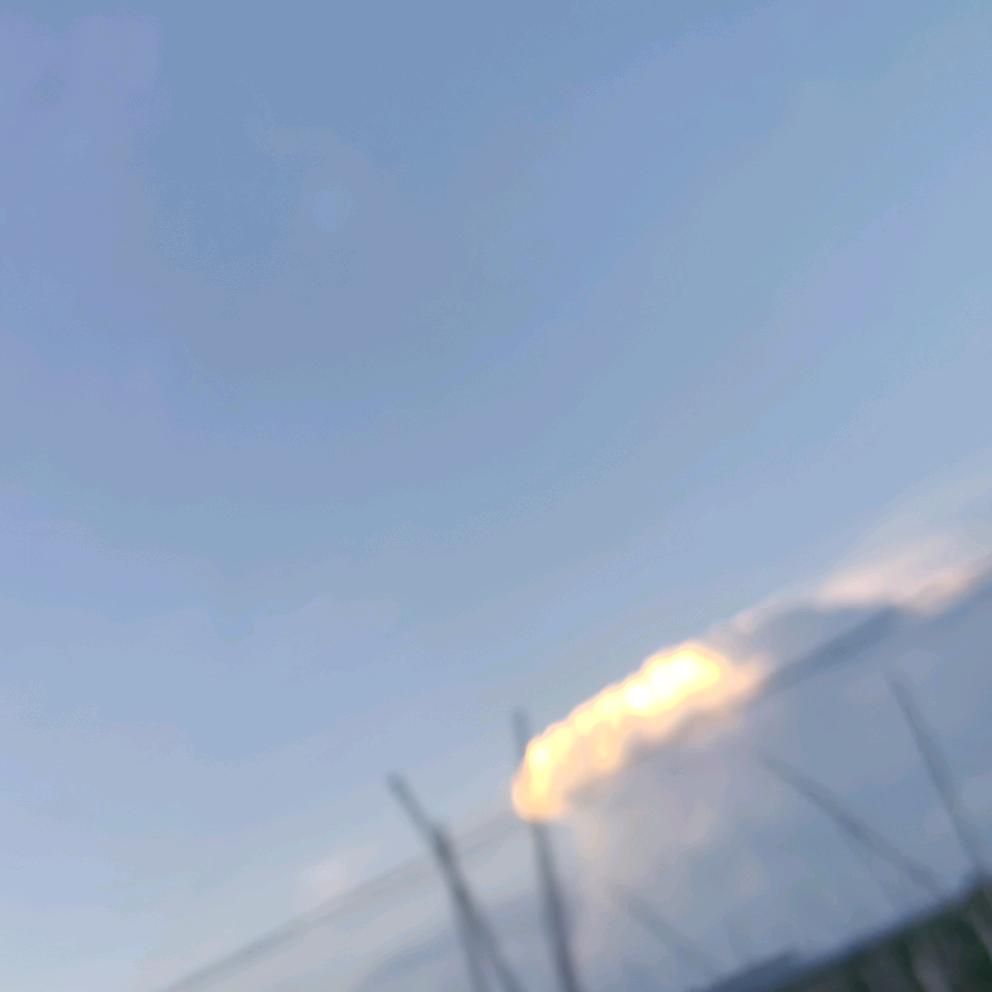 木木夕🦆