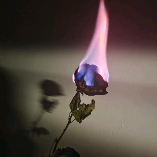 乞怜（王者荣耀版）