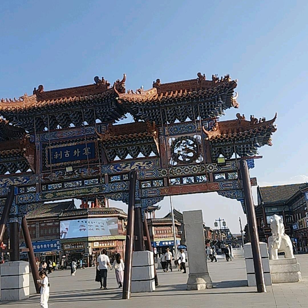 要飞的鱼