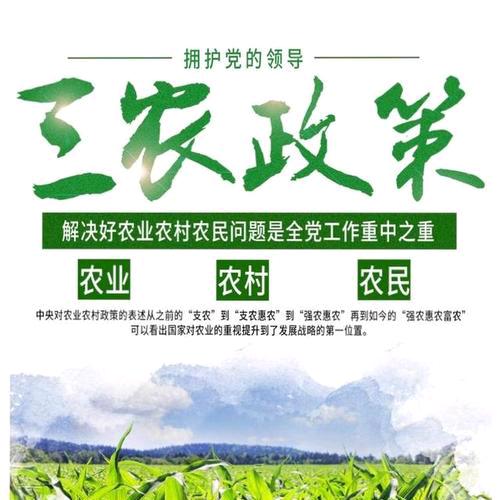 语琪食用菌农场