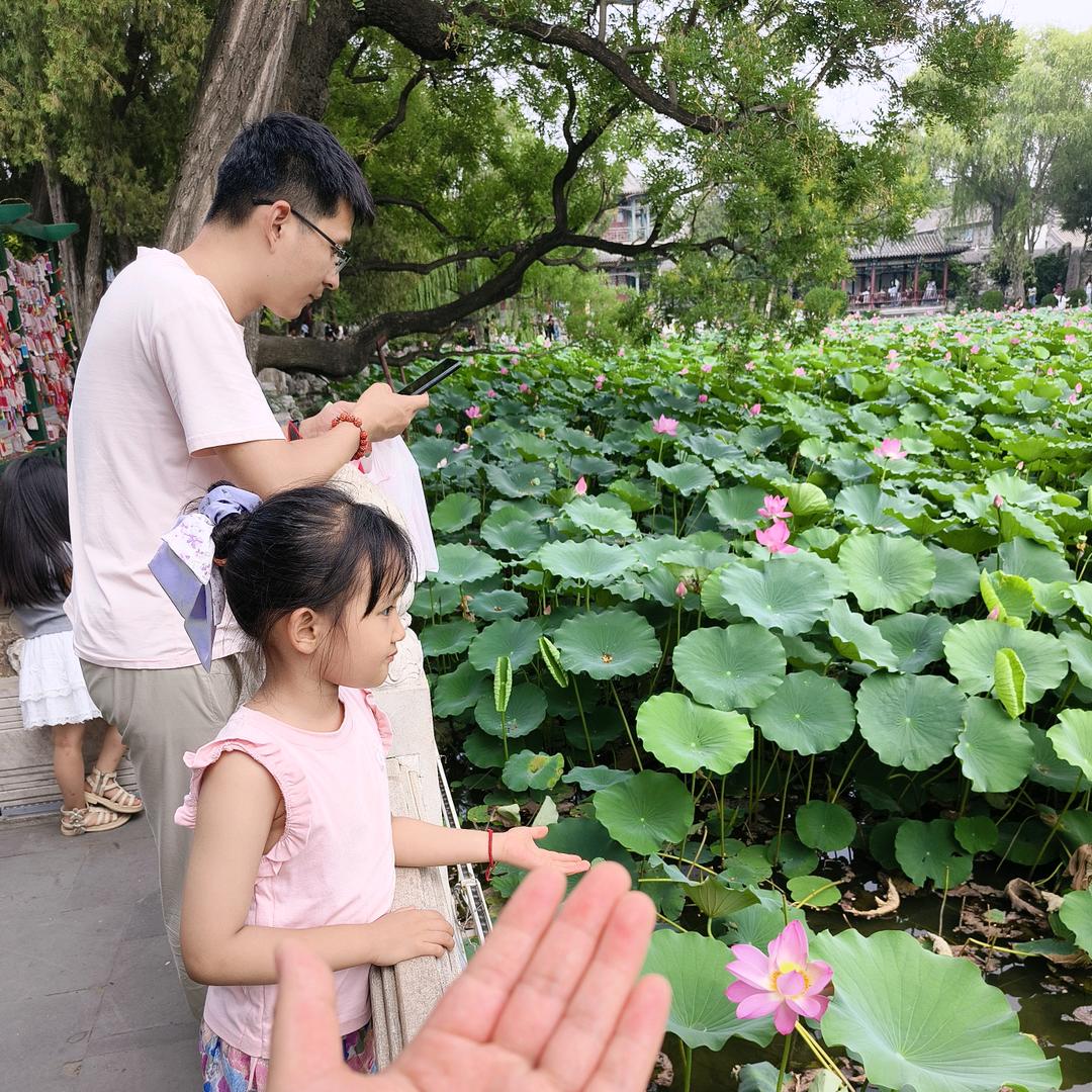 暖暖向日葵