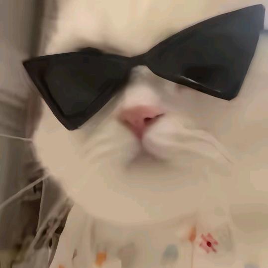 磊汁_zZ