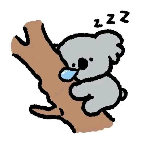 🐨💤