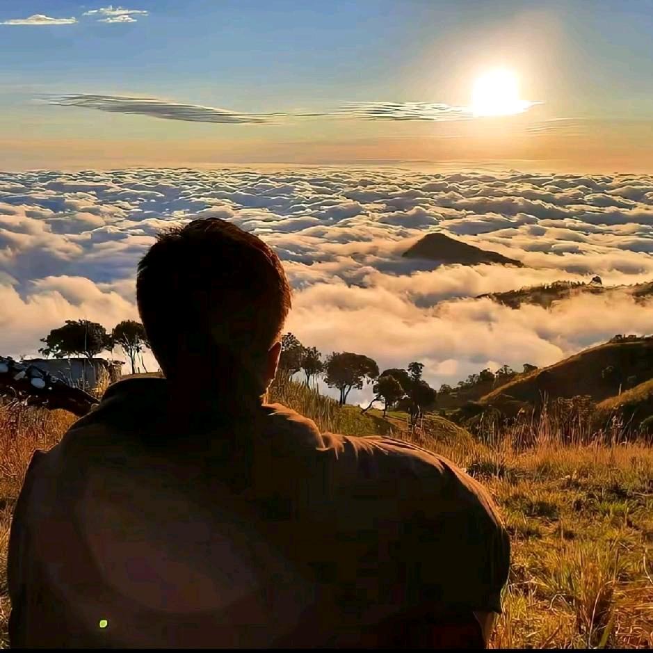 w没有蜡笔小新