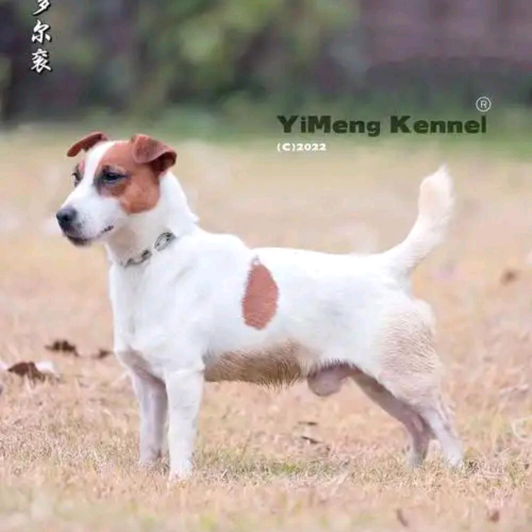 徐州老陈