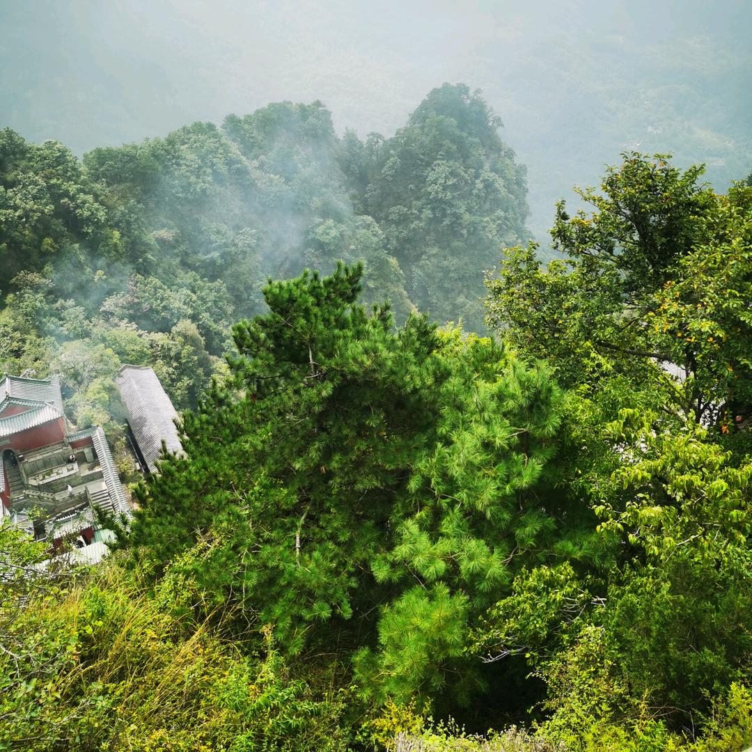 阿涛哥