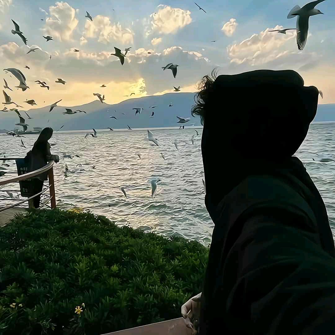 💗᭄余生ᝰᩚ随心ꦿ໌ᮨ💕