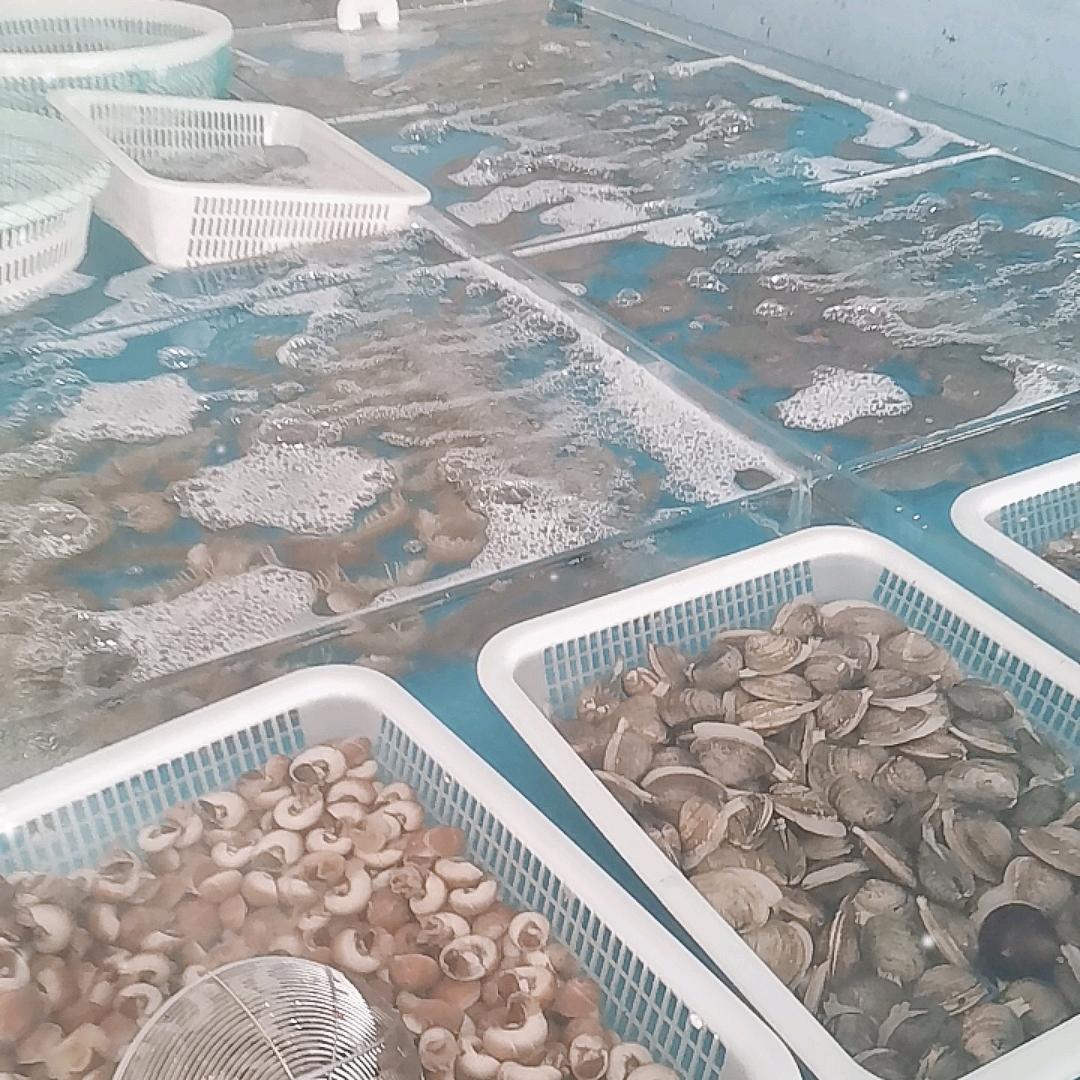 石沟均屹海鲜顺丰快递屋内