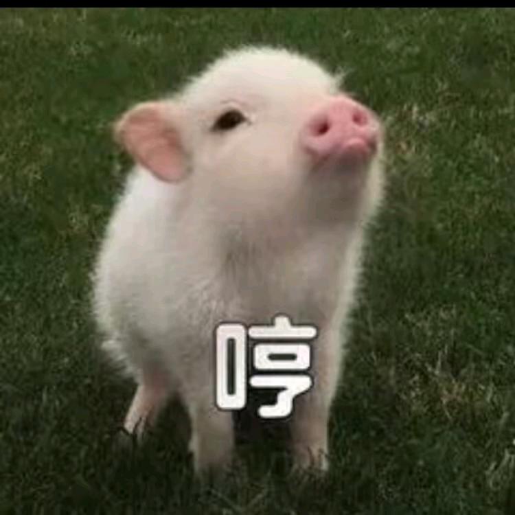 今生今世的牵挂୧⍤⃝🍡