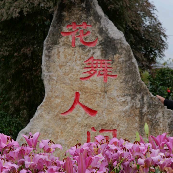 花舞人间推荐官