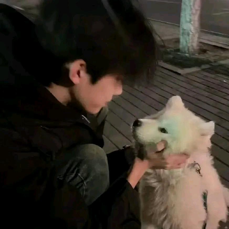 王者荣耀小晨（接代）