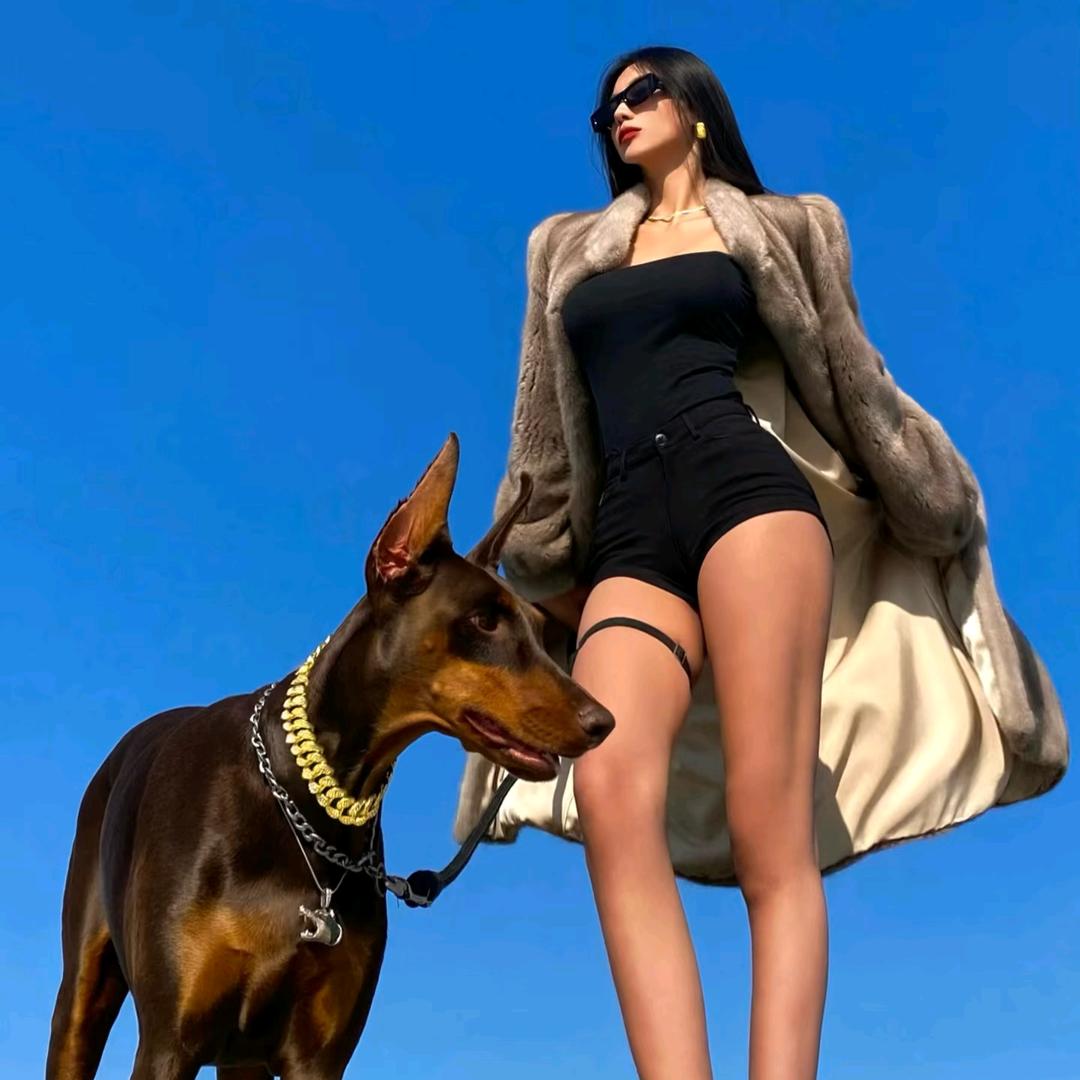 宠物商店源头批发