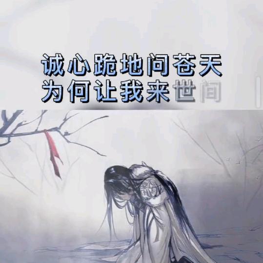 ˊ ᵕ ˋ 琴傻ˊ ᵕ ˋ