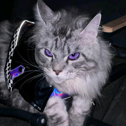 AAA-草莓牛奶批发商（糖分大帝）