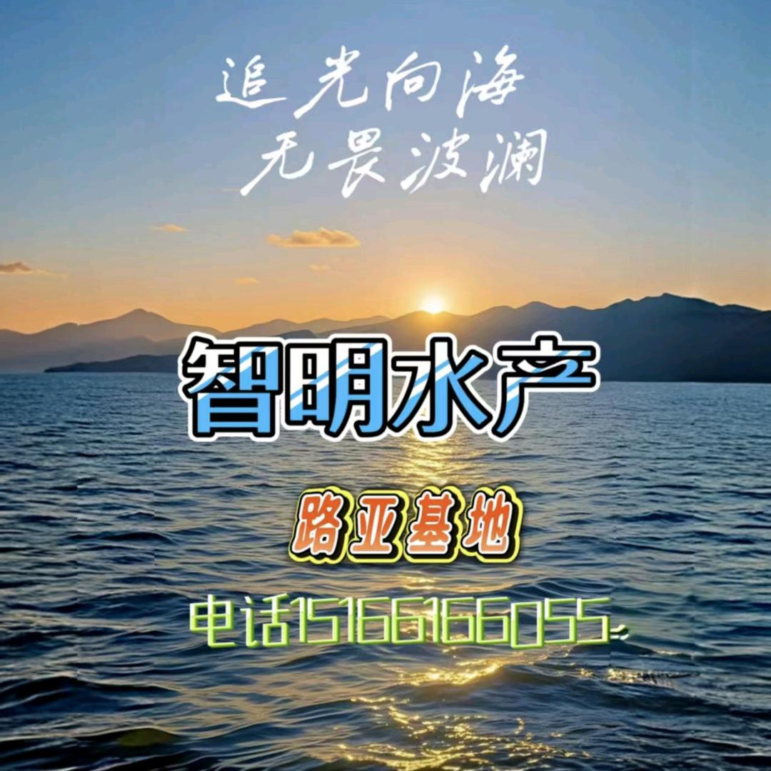 打造威海第一海水路亚基地