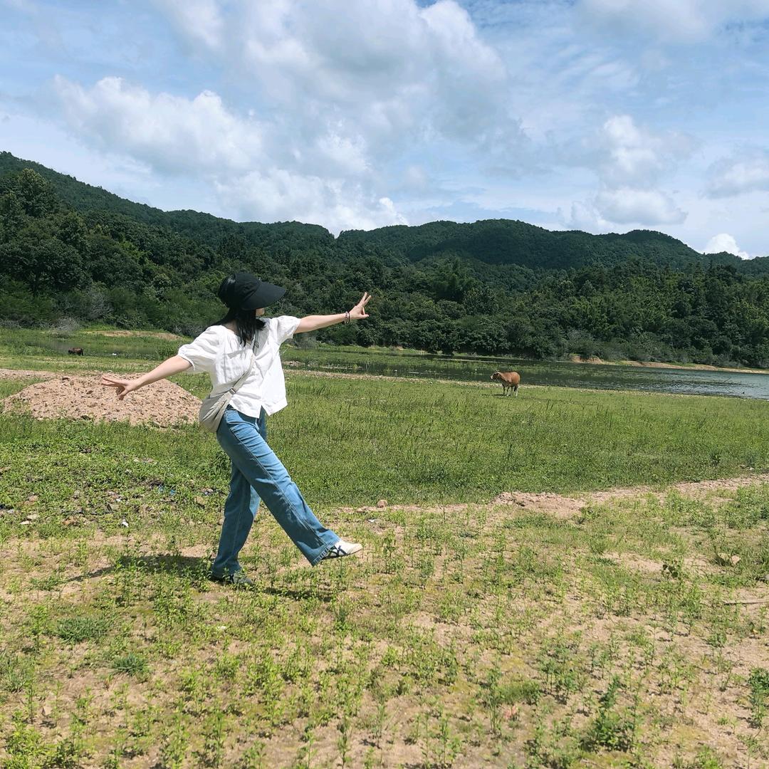 白菜头