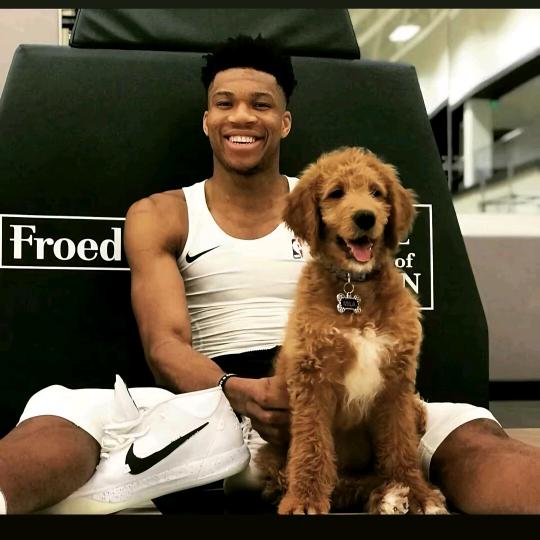 Giannis