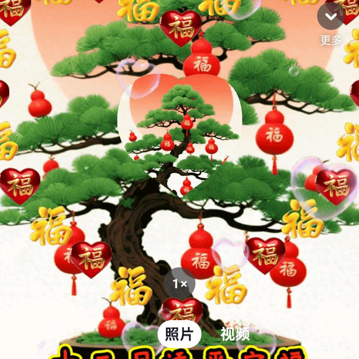 茂锦