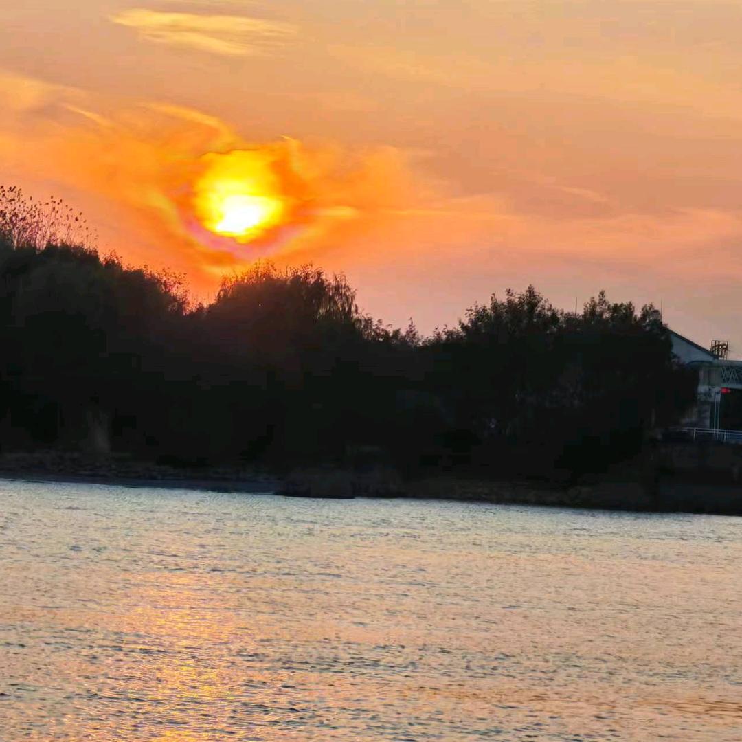 大自然的🌳搬运工