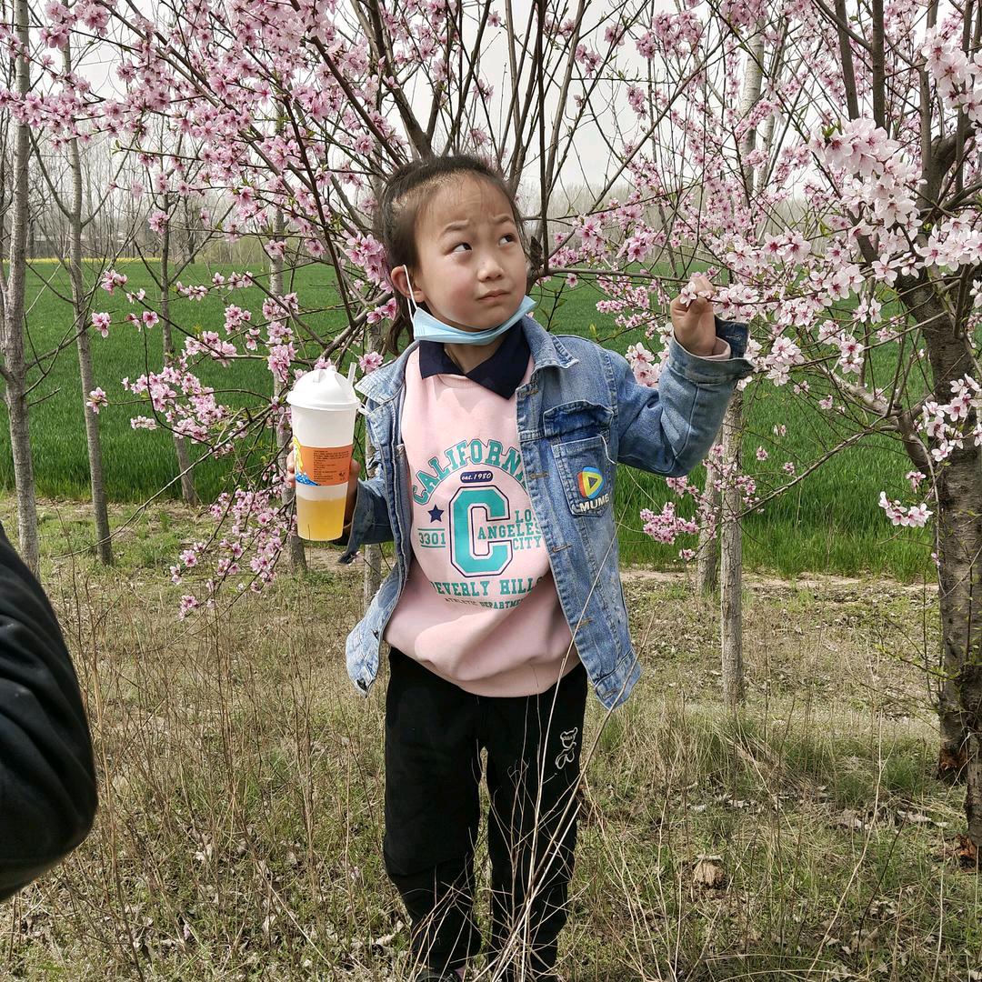 芳芳。