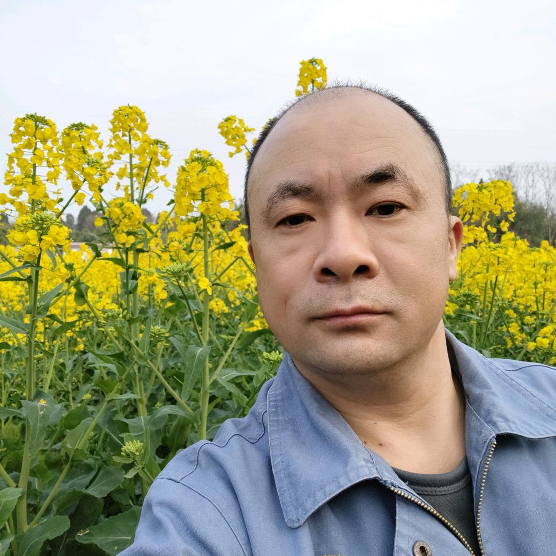 油油绿草地