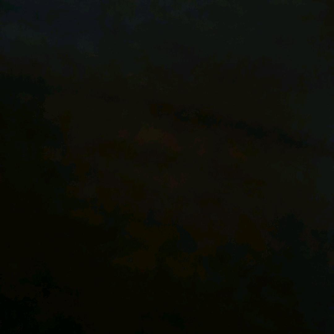 无敌却不知的苏家小姐头像