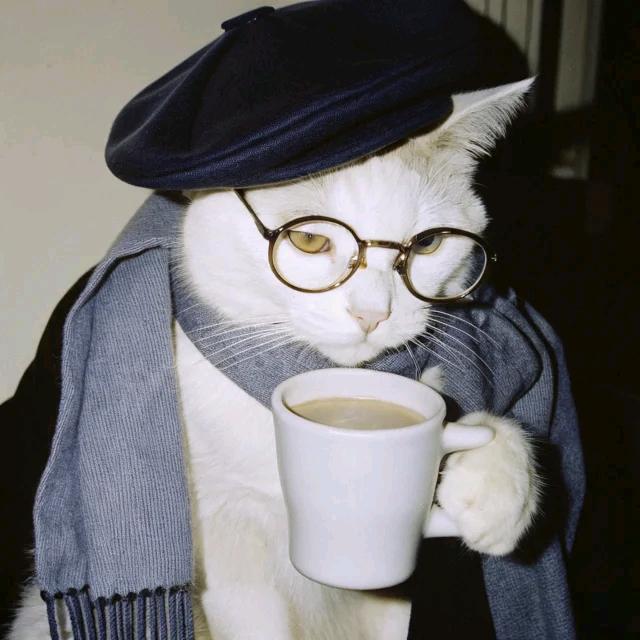 还望先生救我、