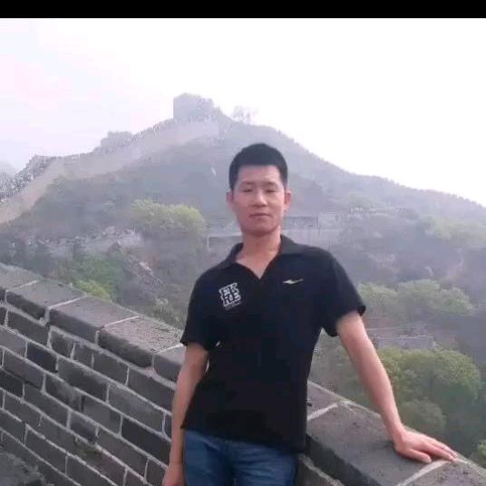 振忠