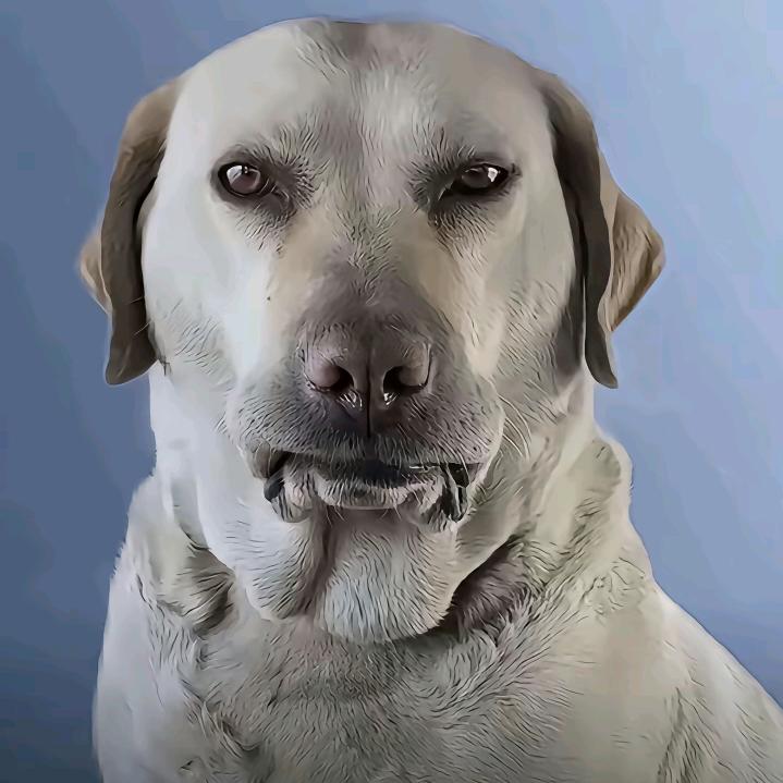 .............