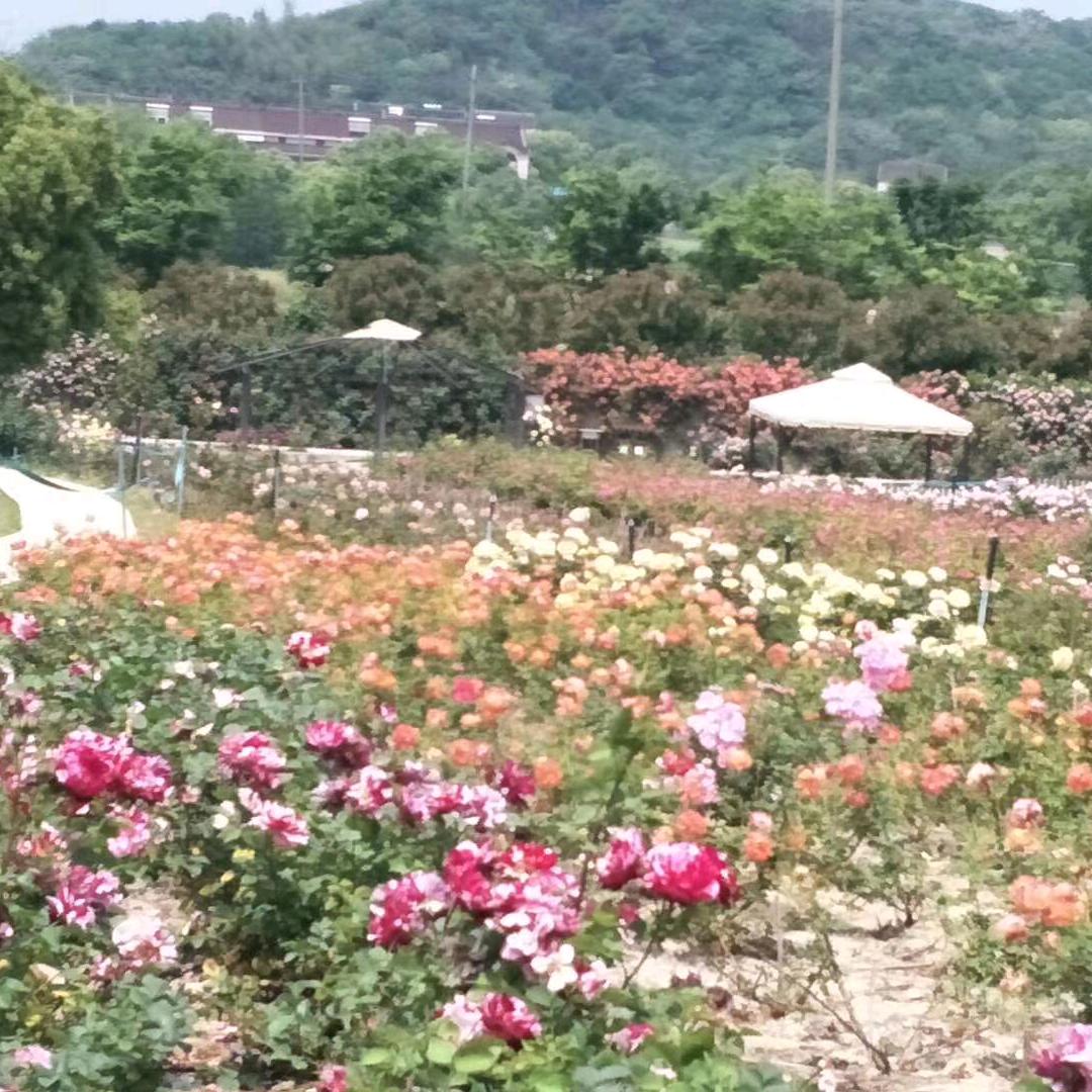 ㅤ ㅤ‍‍    ‍