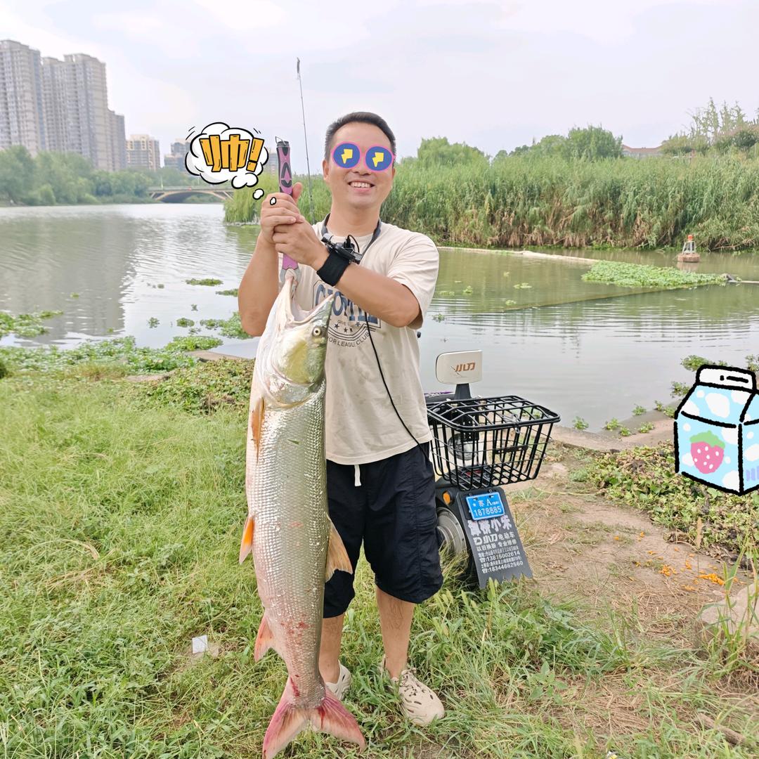小洋路亚
