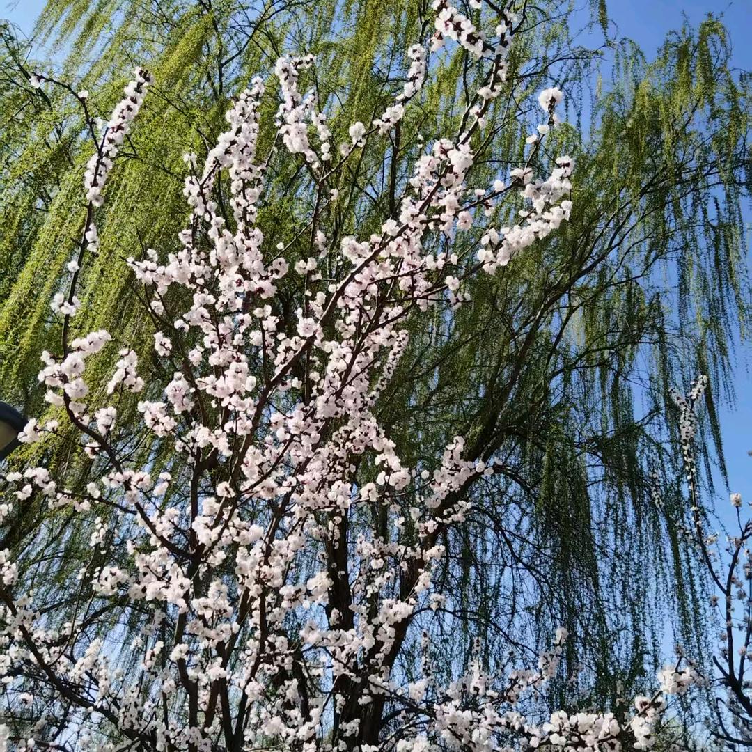 萌萌闯天涯🤗🤗