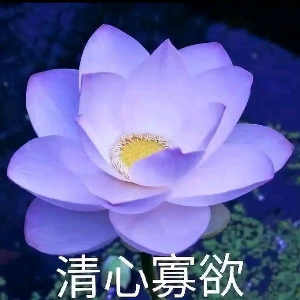 红梅讲故事