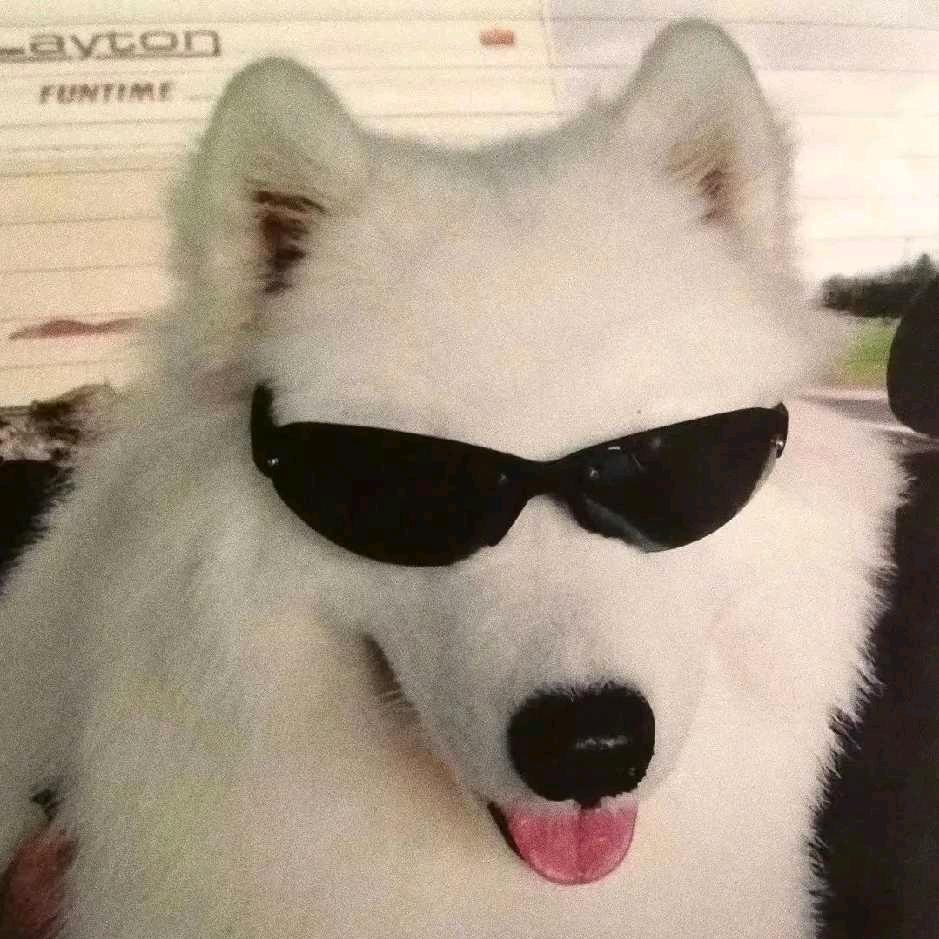 祁阳.