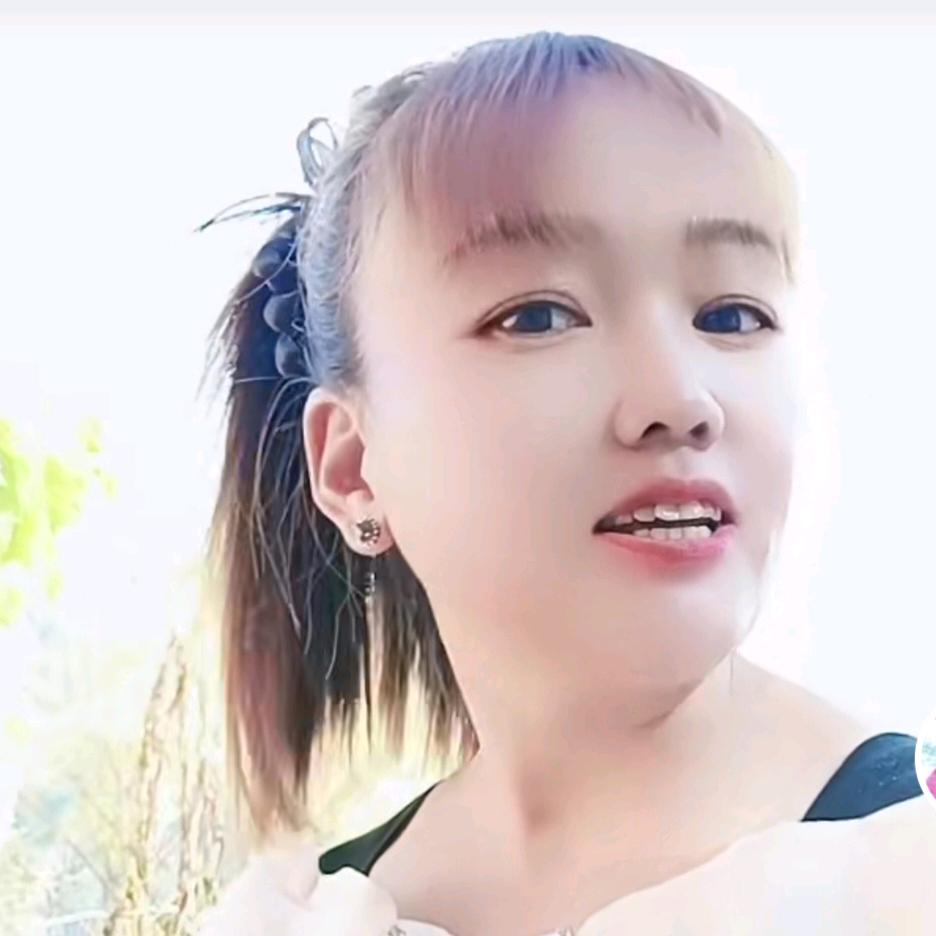 燕子🦅