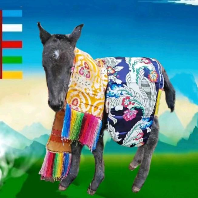 1376