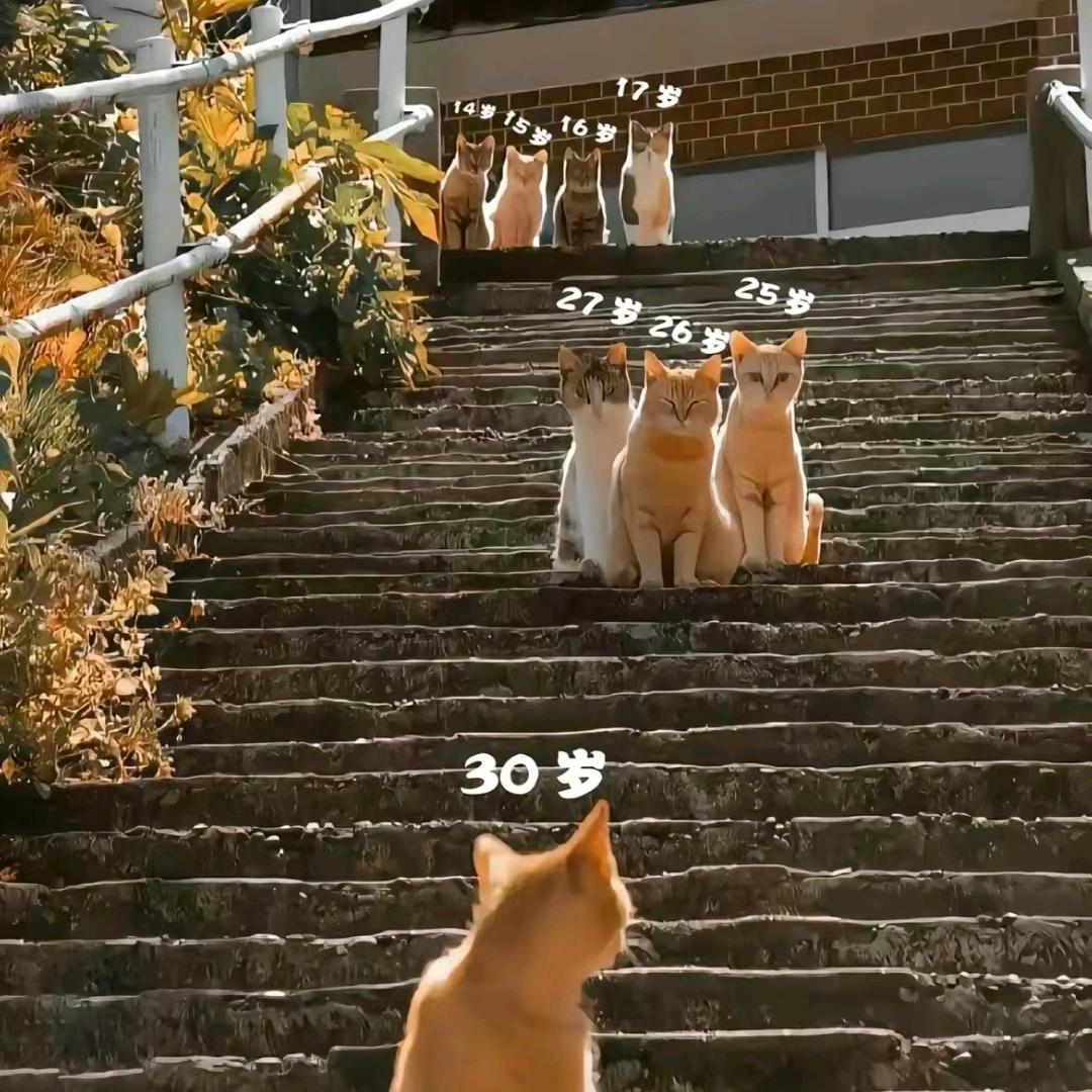 (눈_눈)一眼万年