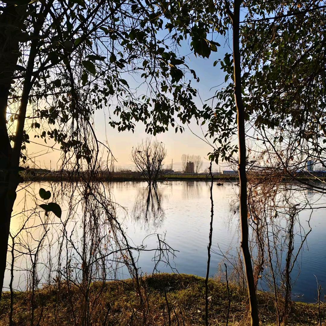 手机用户86301666555