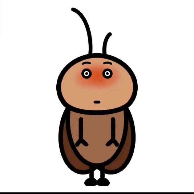黄瓜炒蛋