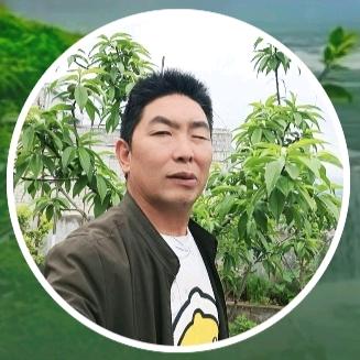 龙哥好物