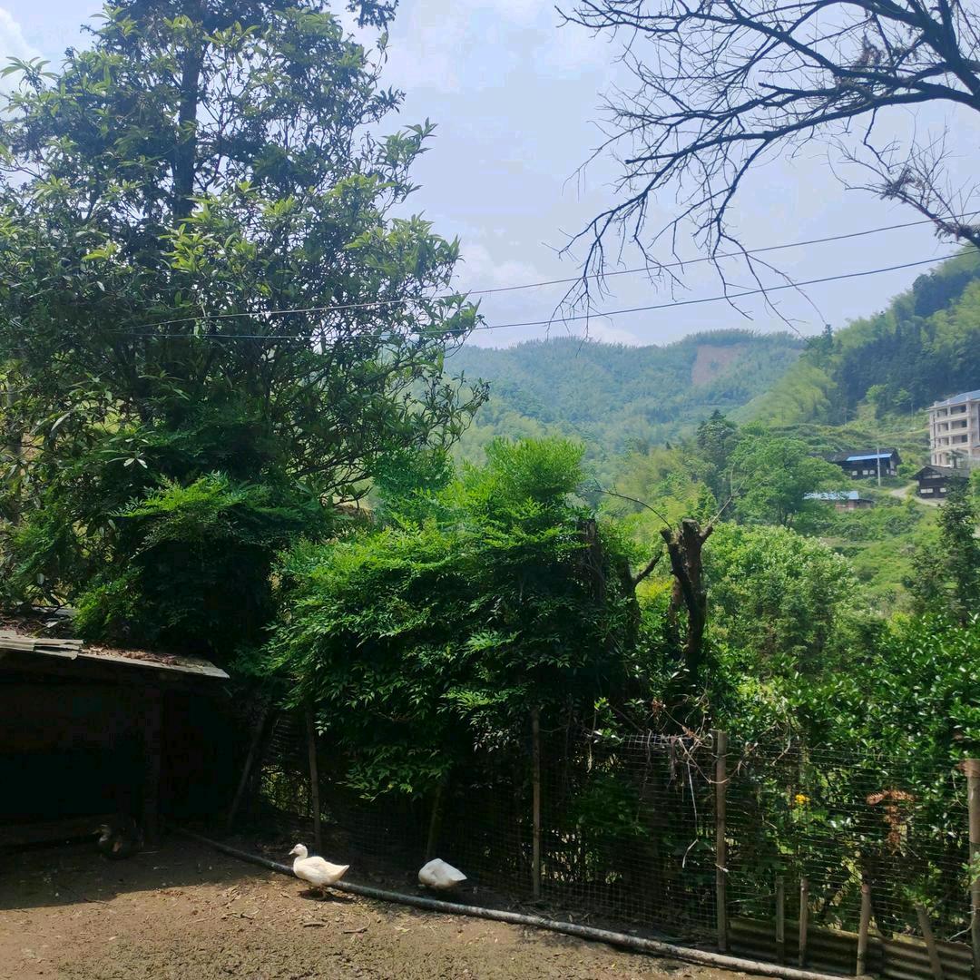 益辉