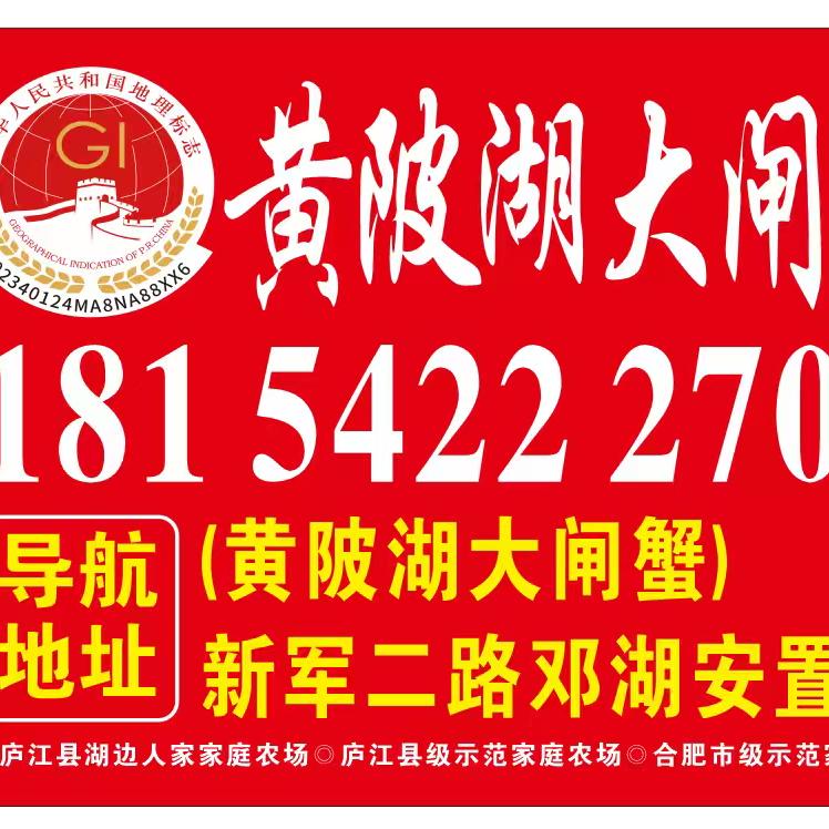 《黄陂湖大闸蟹》王敏