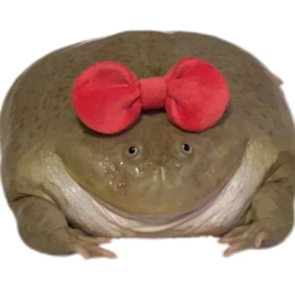 正义的女神—🧚‍♀️