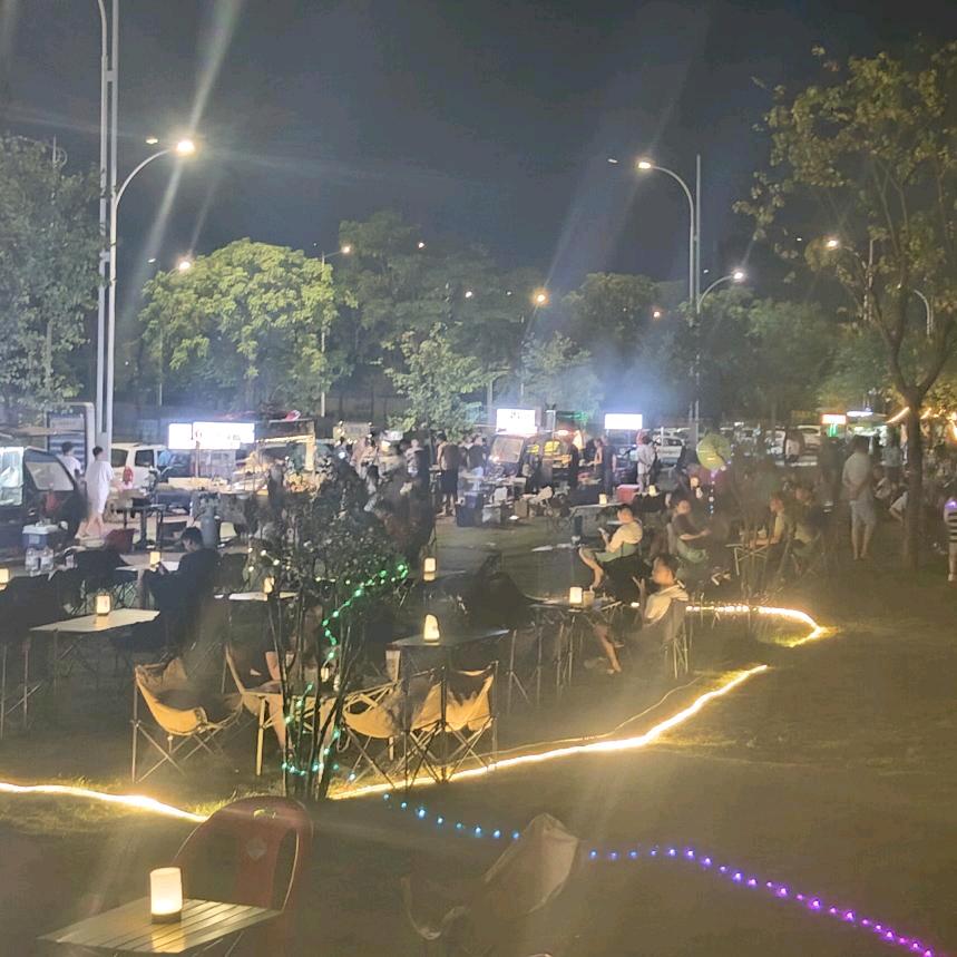 像我这样孤单的人小杨