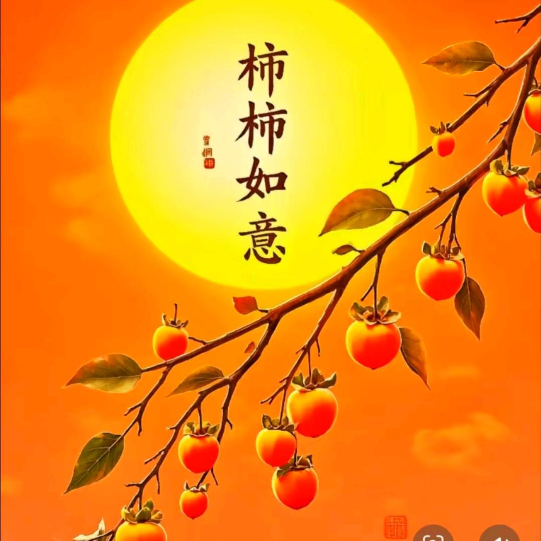 柿柿如意