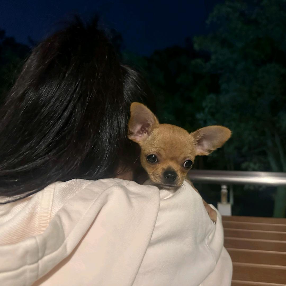 杰森？