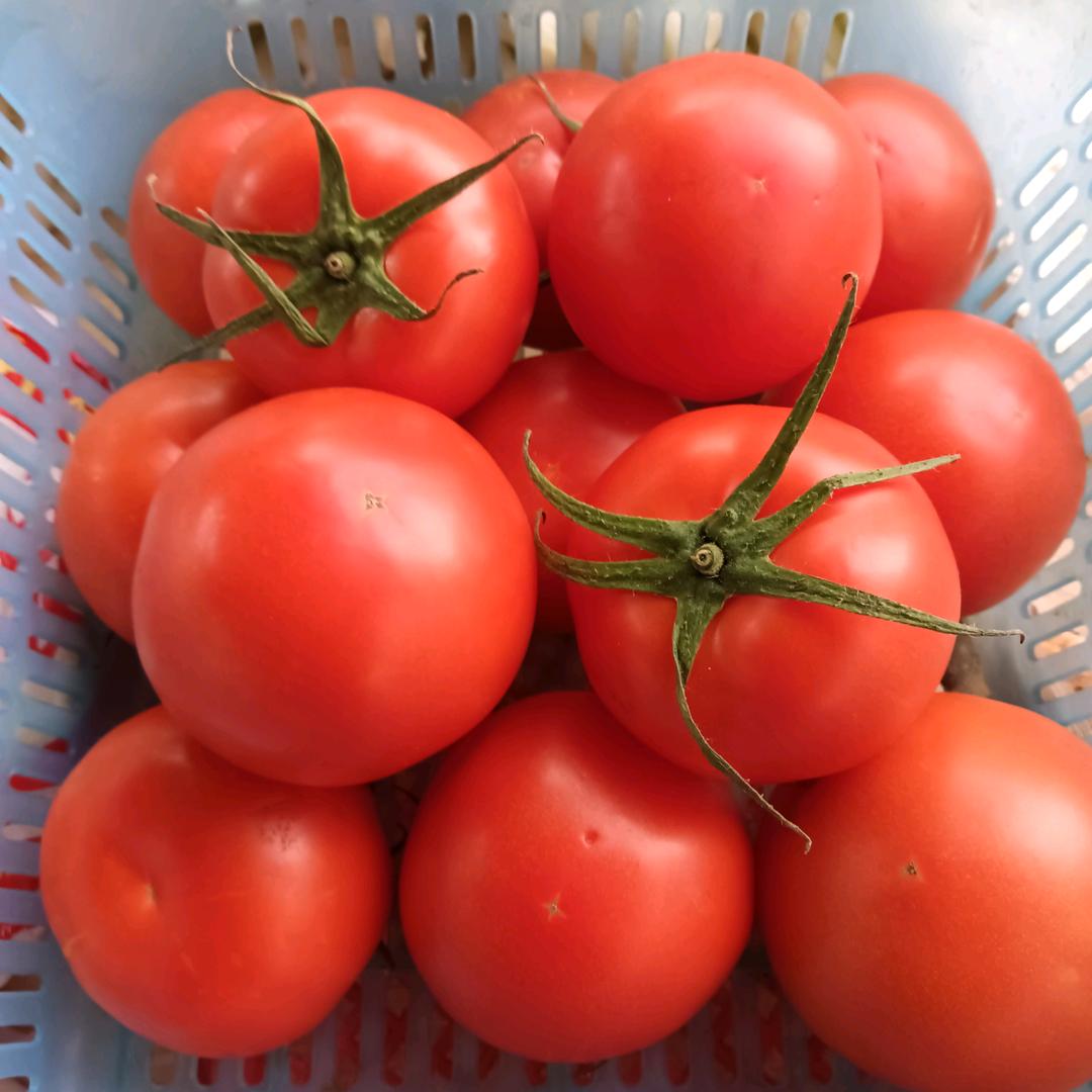 锡友记蔬菜配送