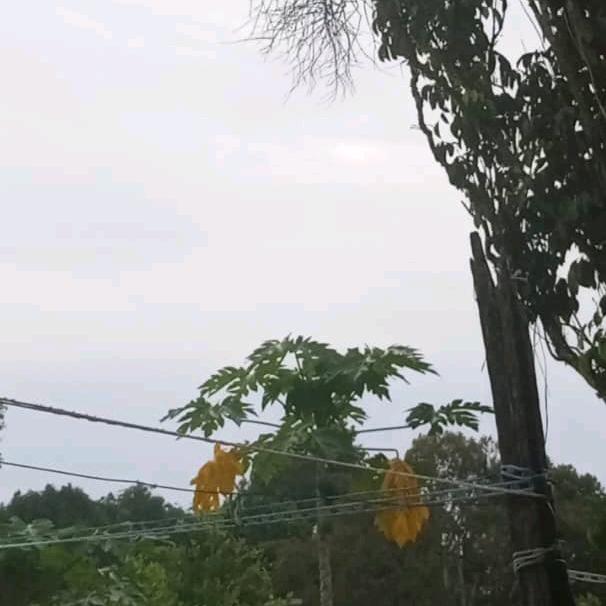 喜乐