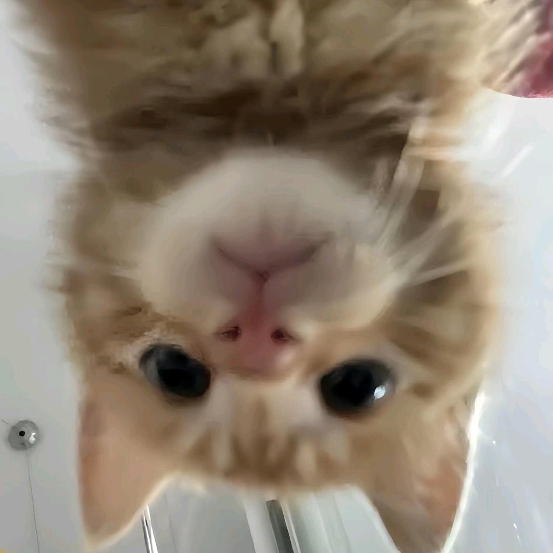 M.