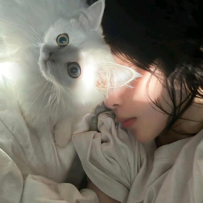 冬眠困困鱼-